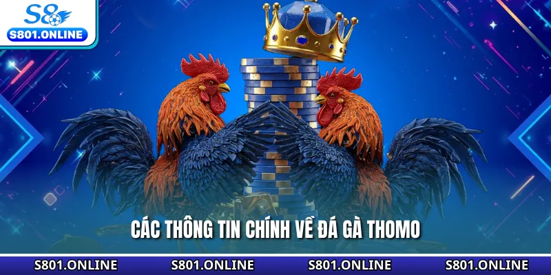 Các thông tin chính về đá gà Thomo