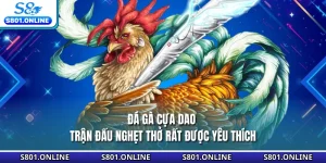 Đá Gà Cựa Dao - Trận Đấu Nghẹt Thở Rất Được Yêu Thích