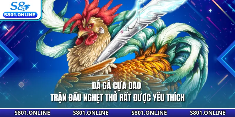 Đá Gà Cựa Dao - Trận Đấu Nghẹt Thở Rất Được Yêu Thích