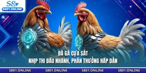 Đá Gà Cựa Sắt - Nhịp Thi Đấu Nhanh, Phần Thưởng Hấp Dẫn