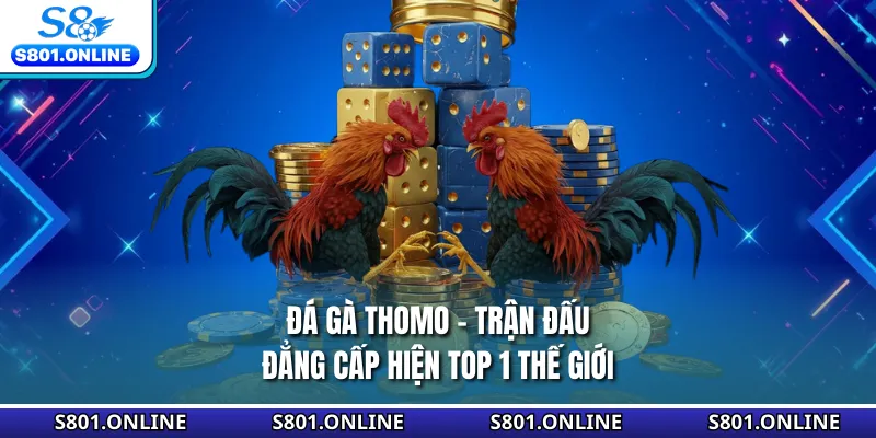 Đá Gà Thomo - Trận Đấu Đẳng Cấp Hiện Top 1 Thế Giới