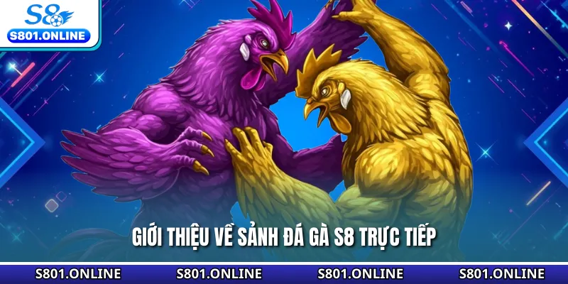 Giới thiệu về sảnh đá gà S8 trực tiếp