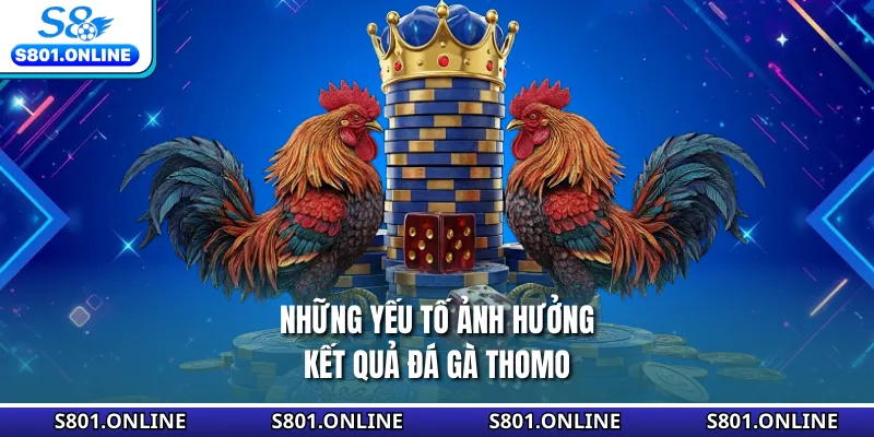 Những yếu tố ảnh hưởng kết quả đá gà Thomo
