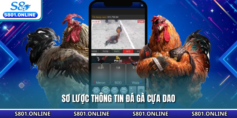 Sơ lược thông tin đá gà cựa dao