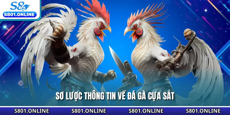 Sơ lược thông tin về đá gà cựa sắt