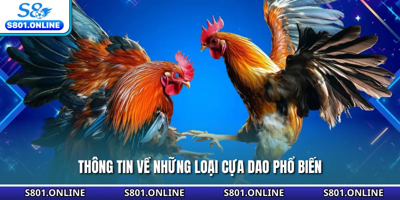 Thông tin về những loại cựa dao phổ biến